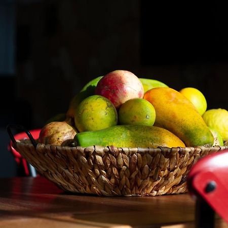 Finca Arbequina Pajara  Ngoại thất bức ảnh