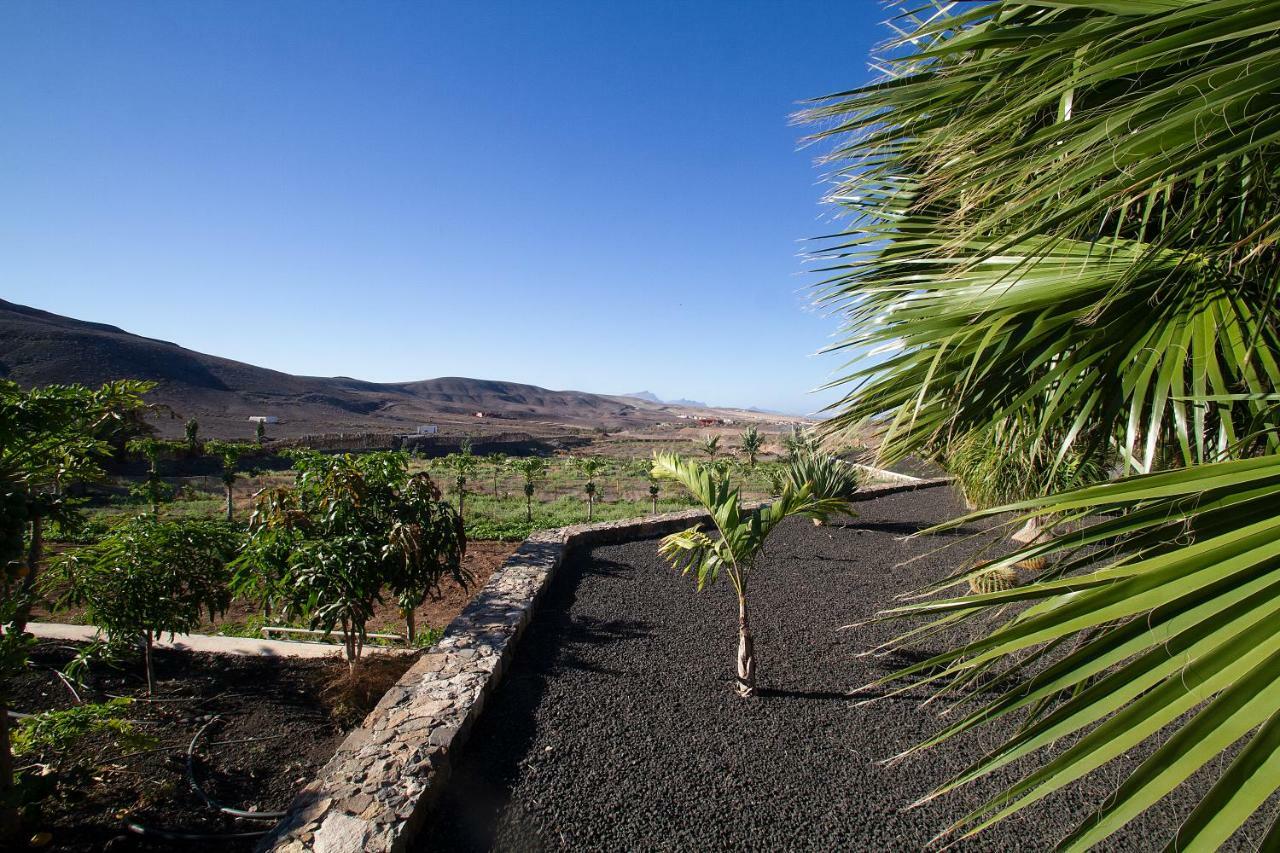 Finca Arbequina Pajara  Ngoại thất bức ảnh