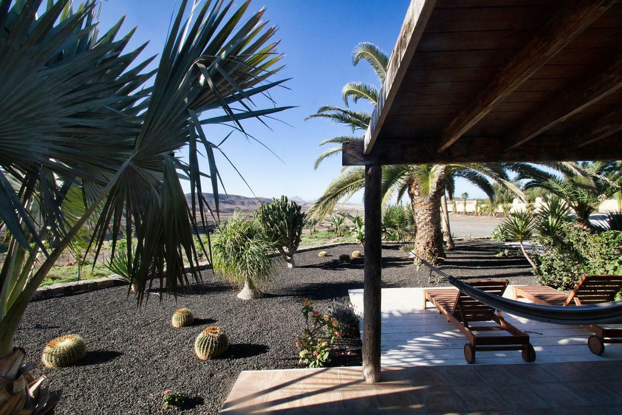 Finca Arbequina Pajara  Ngoại thất bức ảnh