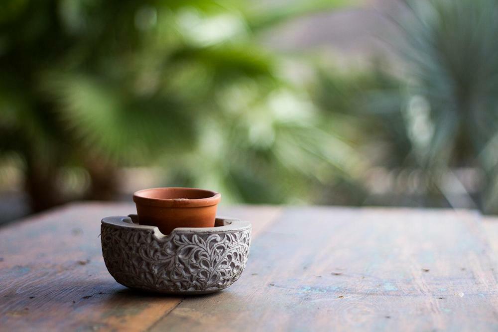 Finca Arbequina Pajara  Ngoại thất bức ảnh