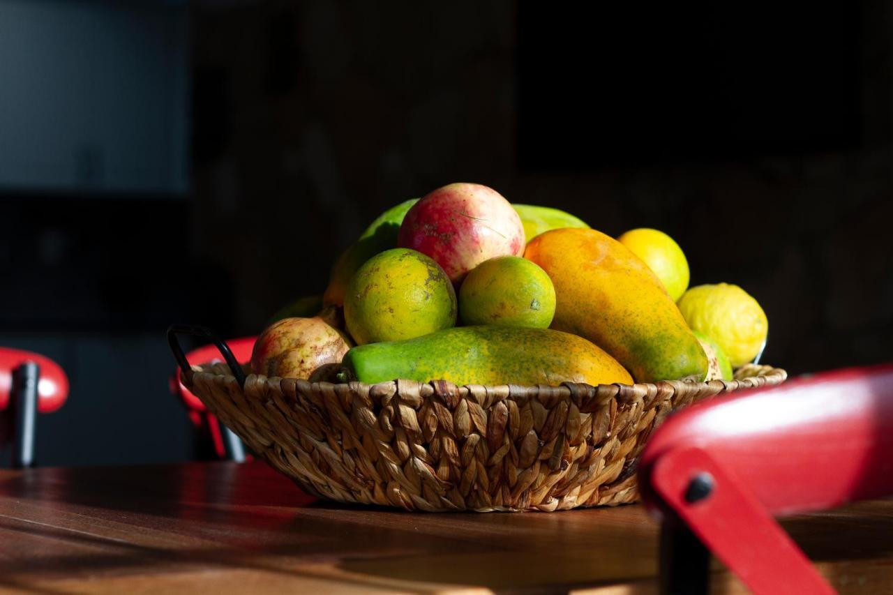 Finca Arbequina Pajara  Ngoại thất bức ảnh